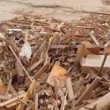 VIDEO YouTube: Cile, cane tra i detriti dell'alluvione si salva per miracolo6