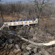 Cina: precipita bus in dirupo: 20 morti, 13 feriti 13