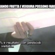 Le Iene, pesticidi in frutta e verdura 10