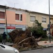 Maltempo Toscana-Marche: scuole chiuse, tetti scoperchiati, alberi abbattuti FOTO-VIDEO2