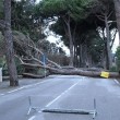 Maltempo Toscana-Marche: scuole chiuse, tetti scoperchiati, alberi abbattuti FOTO-VIDEO3