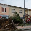 Maltempo Toscana-Marche: scuole chiuse, tetti scoperchiati, alberi abbattuti FOTO-VIDEO4