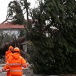 Maltempo Toscana-Marche: scuole chiuse, tetti scoperchiati, alberi abbattuti3