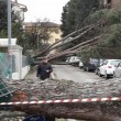 Maltempo Toscana-Marche: scuole chiuse, tetti scoperchiati, alberi abbattuti5