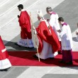 Domenica delle Palme, Papa Francesco: "Siate umili"01