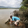 Costa Rica, passeggiata turistica tra i coccodrilli 05