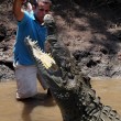 Costa Rica, passeggiata turistica tra i coccodrilli 03