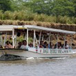 Costa Rica, passeggiata turistica tra i coccodrilli