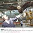 Olympia, falco mascotte Lazio in volo tra hangar Fiumicino per cacciare piccioni FOTO