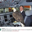 Olympia, falco mascotte Lazio in volo tra hangar Fiumicino per cacciare piccioni FOTO02