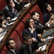 Camera. Sel lancia crisantemi, M5s e Brunetta urlano: "Fascisti06