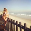 Charlotte McKinney, la più sexy di Instragram nel 2015 FOTO13