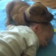 VIDEO YouTube, cucciolo coccola neonato che dorme 06