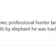 Zimbabwe, elefante spaventato uccide cacciatore di leoni: la rete assolve l'animale