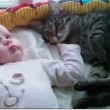 Neonato scambia gatto per peluche, ecco cosa succede VIDEO