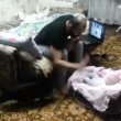 VIDEO YouTube: gatto si avvicina e difende neonato dal papà manesco5