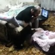 VIDEO YouTube: gatto si avvicina e difende neonato dal papà manesco4