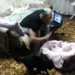 VIDEO YouTube: gatto si avvicina e difende neonato dal papà manesco6