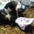 VIDEO YouTube: gatto si avvicina e difende neonato dal papà manesco7