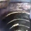 VIDEO YouTube: gatto finisce nel pozzo. Ecco come riesce a liberarsi 3