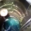 VIDEO YouTube: gatto finisce nel pozzo. Ecco come riesce a liberarsi 4