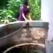 VIDEO YouTube: gatto finisce nel pozzo. Ecco come riesce a liberarsi 7