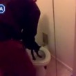VIDEO YouTube. Getta il gatto nel water: 16enne condannato a 9 mesi6