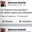 Gerardo Giannone (Pd) dà della "zoccola" a Paola Taverna di M5S su Twitter FOTO2