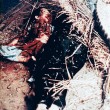 My Lai 1968. Vietnam, strage di civili. Quando gli Usa videro la "sporca guerra"06