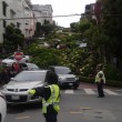 Pino Nicotri: reportage FOTO da San Francisco, Alcatraz, foreste e città abbandonata10