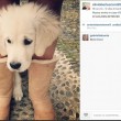 Silvio Berlusconi sbarca su Instagram con Dudù e Francesca Pascale FOTO7