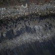 California, sos marea nera: quasi 400mila litri di petrolio in mare FOTO-VIDEO2