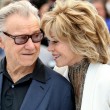 Kate Fonda e Harvey Keitel. Cate Blanchett, Rooney Mara e Todd Haynes: donna palpa uomo a Cannes
