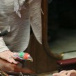 Italicum, deputati Pd usano palline per i gatti per bloccare tasto del voto FOTO 10