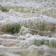 VIDEO YouTube. Australia, piovono ragni: la distesa di ragnatele a Goulburn FOTO 2