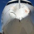 Bird strike Turkish Airlines, aereo contro uccelli: Boeing ammaccato FOTO 4