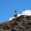 Google Street View, trekking sull'Etna da casa FOTO 20