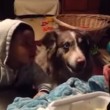 VIDEO YouTube: cane affamato dice "mamma" prima del bimbo, lui non la prende bene4