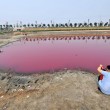 Cina, lago si tinge di rosa: turisti incantati FOTO 2
