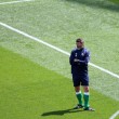 Irlanda-Inghilterra 0-0: le FOTO