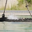 VIDEO YouTube. Isis uccide 5 spie: chiusi in gabbia e annegati in una piscina 3