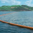 Pulire l'oceano dai rifiuti in plastica: progetto di Boyan Slat, 20 anni FOTO