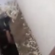 VIDEO YouTube - Donna partorisce in bagno, bimbo finisce nello scarico: salvato2