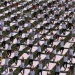 VIDEO YouTube. Yoga Day in India: in 35mila da 84 Paesi, 2 Guinness Record vinti6