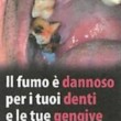 Sigarette, campagna choc sui pacchetti proteste per immagine col disabile8