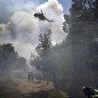 Grecia, incendio ad Atene. In 100 bloccati sulla spiaggia Laconia5