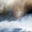 Grecia, incendio ad Atene. In 100 bloccati sulla spiaggia Laconia4