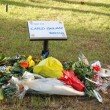Coisp, sindacato polizia in piazza Alimonda il 20 luglio: vuole togliere targa per Carlo Giuliani