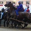 VIDEO YouTube - Palio di Siena 2015: vince contrada Torre: Andrea Mari-Morosita Prima3
