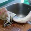 Pesce decapitato "scappa" via dalle mani: donna si spaventa e strilla1